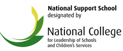 NSS logo